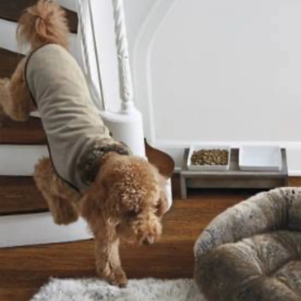 Pet Coat in Faux Fur Chinchilla by Frontgate